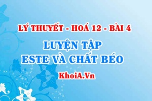 Luyện tập khái niệm, cấu tạo, phân loại, tính chất hoá học của Este và chất béo - Hoá 12 bài 4